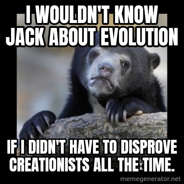 sad bear meme: I wouldn't know jack about evolution / if I didn't have to disprove creationists all the time.