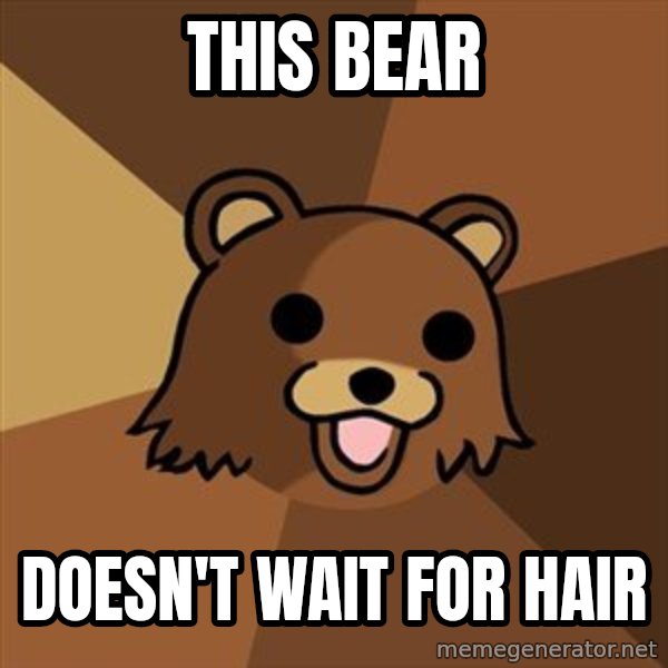 Pedobear meme: This Bear / Doesn't wait for hair