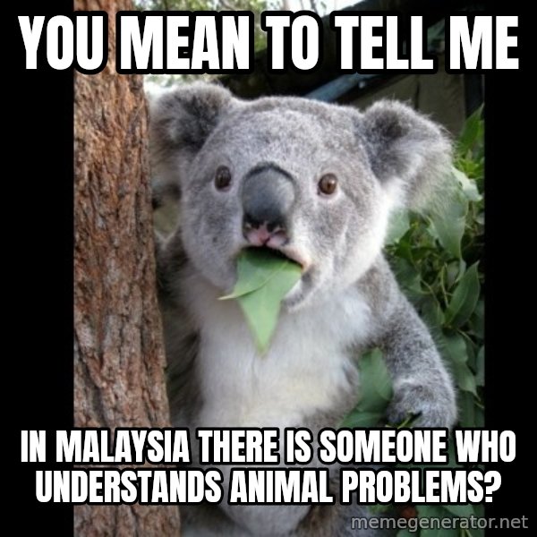 Koala can't believe it meme: You mean to tell me / In malaysia there is someone who understands animal problems?