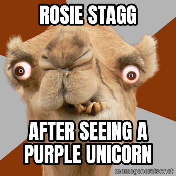 Crazy Camel lol meme: ROSIE STAGG / AFTER SEEING A PURPLE UNICORN