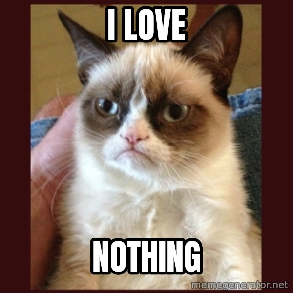 Grumpy Cat  meme: i love / nothing