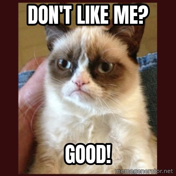 Grumpy Cat  meme: Don't like me? / Good!