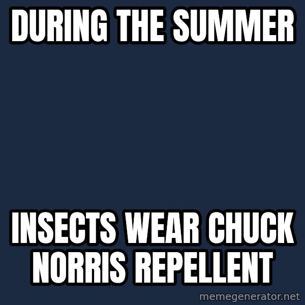 Chuck Norris  meme: during the summer / insects wear chuck norris repellent
