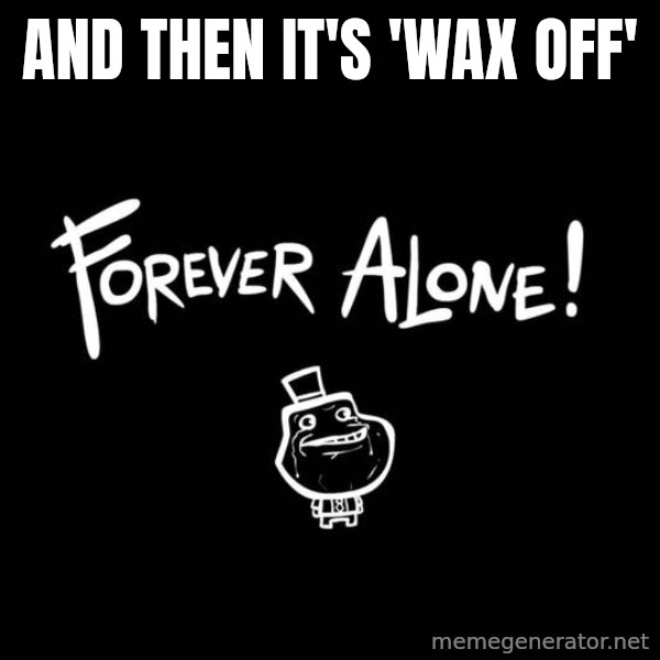 Chill Out Lemur meme: and then it's 'wax off'