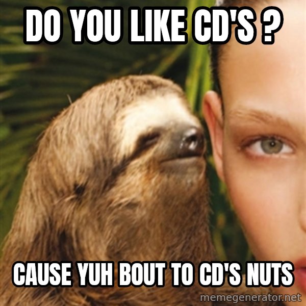 The Rape Sloth meme: do you like CD'S ? / CAUSE YUH BOUT TO cd'S NUTS