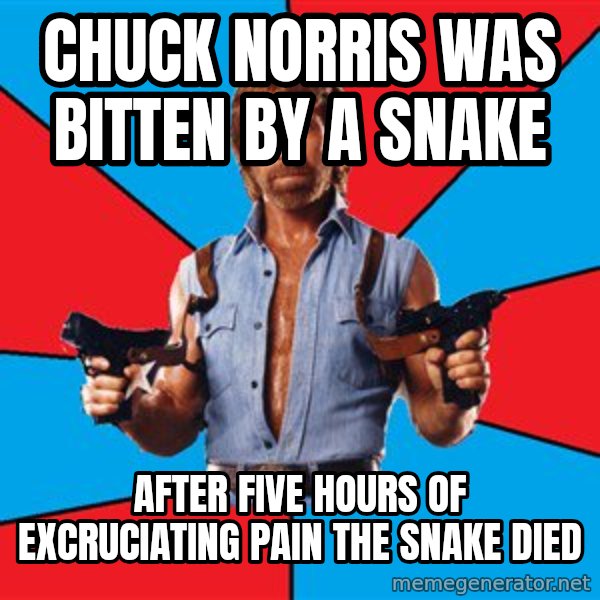 Chuck Norris  meme: CHUCK NORRIS WAS BITTEN BY A SNAKE / AFTER FIVE HOURS OF EXCRUCIATING PAIN THE SNAKE DIED