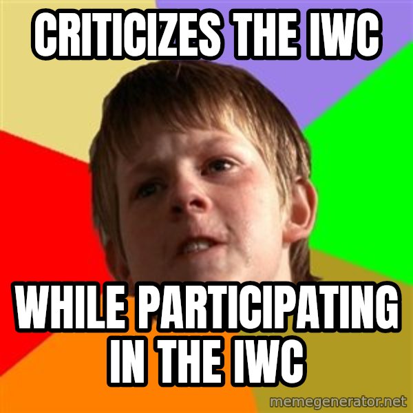 Angry School Boy meme: CRITICIZES THE IWC / WHILE PARTICIPATING IN THE IWC