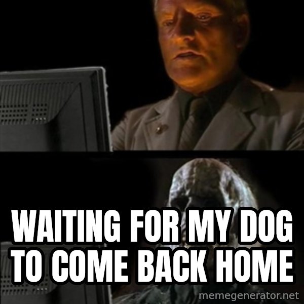 Waiting For meme: waiting for my dog to come back home