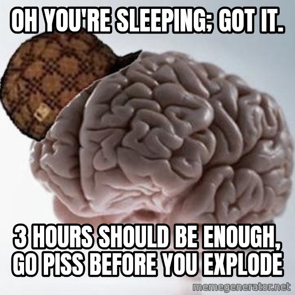 Scumbag Brain meme: oh you're sleeping; got it. / 3 hours should be enough, go piss before you explode