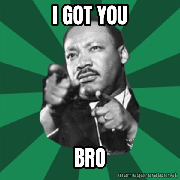 Martin Luther King jr.  meme: I GOT YOU / BRO