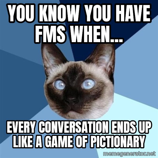 Chronic Illness Cat meme: you know you have fms when... / every conversation ends up like a game of pictionary