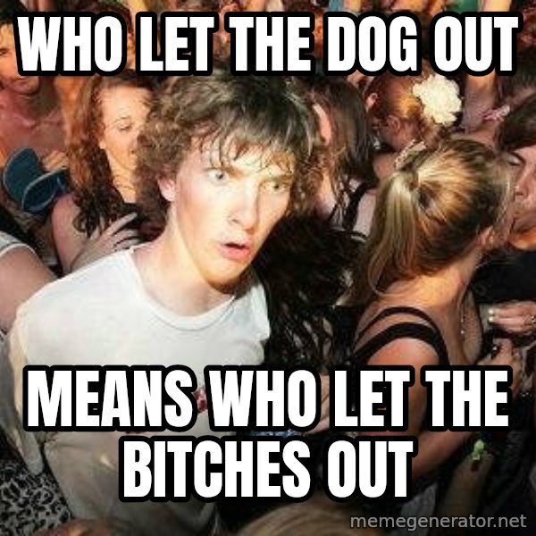 -Sudden Clarity Clarence meme: Who let the dog out / means who let the bitches out