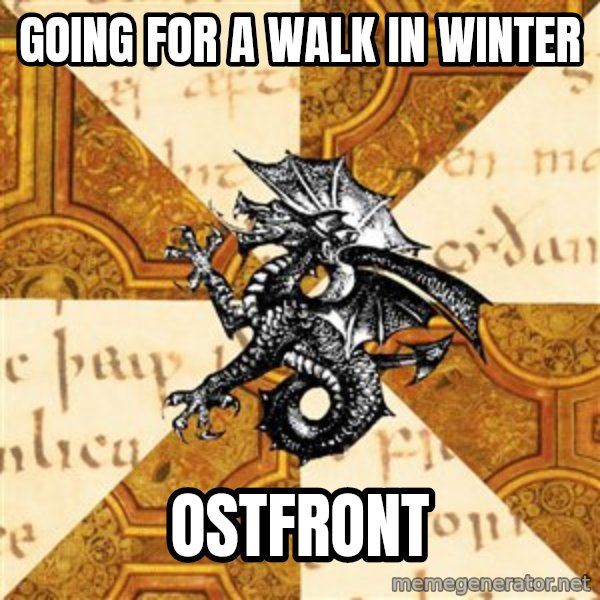 History Major Heraldic Beast meme: Going For a walk in winter / Ostfront