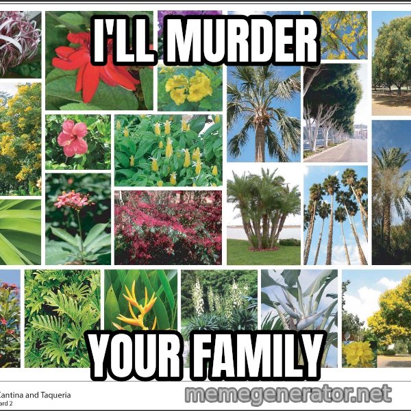 imageboard meme: I'll murder / your family