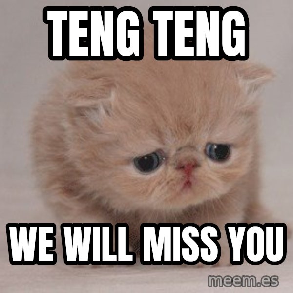 Super Sad Cat meme: TENG TENG / WE WILL MISS YOU
