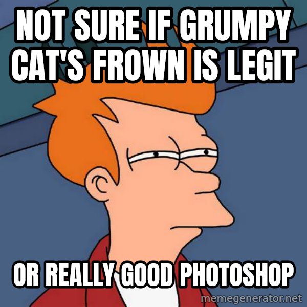 Futurama Fry meme: not sure if grumpy cat's frown is legit / or really good photoshop