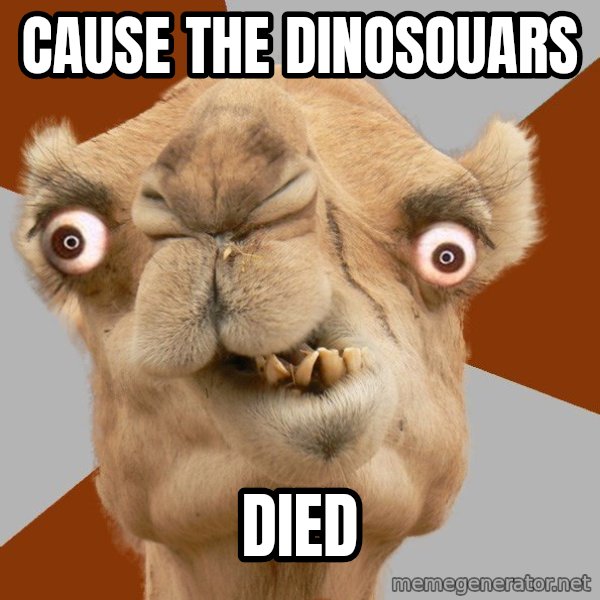 Crazy Camel lol meme: cause the dinosouars / died