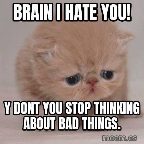 Super Sad Cat meme: BRAIN I HATE YOU! / y DONT YOU STOP THINKING ABOUT BAD THINGS.