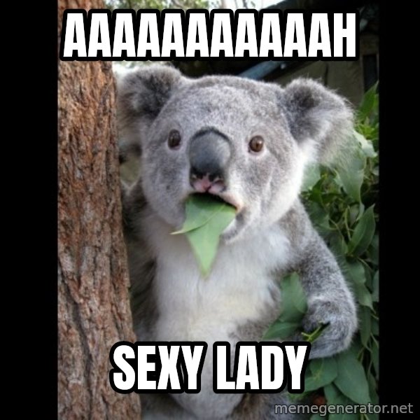 Koala can't believe it meme: aaaaaaaaaaah / sexy lady