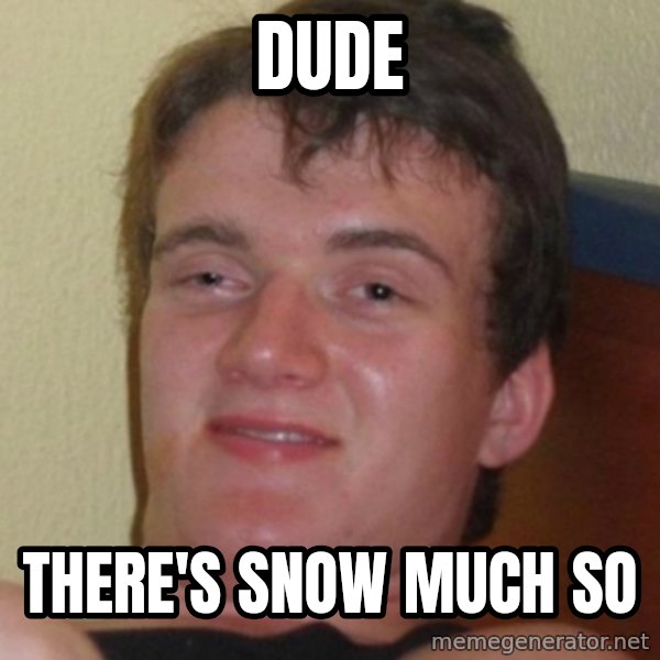 Stoner Guy meme: Dude / There's snow much so
