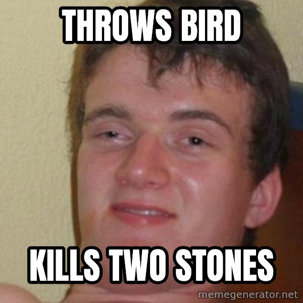 Really Stoned Guy meme: Throws bird / Kills two stones