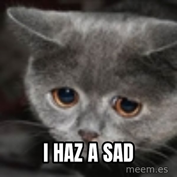 sad cat meme: I haz a sad