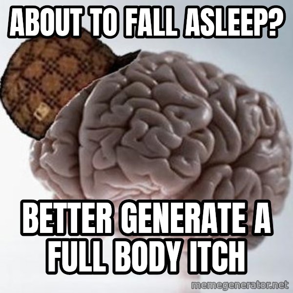 Scumbag Brain meme: about to fall asleep? / better generate a full body itch