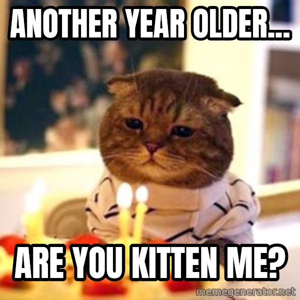 Birthday Cat meme: ANOTHER YEAR OLDER... / ARE YOU KITTEN ME?