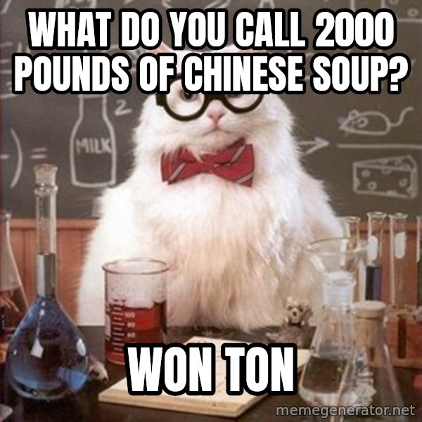 Chemistry Cat meme: What do you call 2000 pounds of Chinese soup? / Won ton