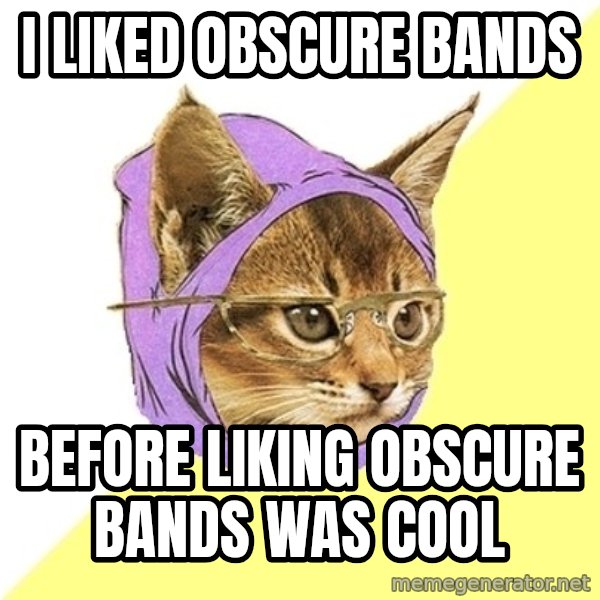 Hipster Kitty meme: I liked Obscure Bands / Before Liking Obscure bands was cool