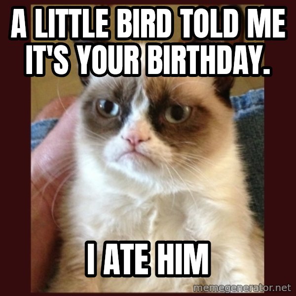 Grumpy Cat  meme: A little Bird told me it's your Birthday. / I ate him