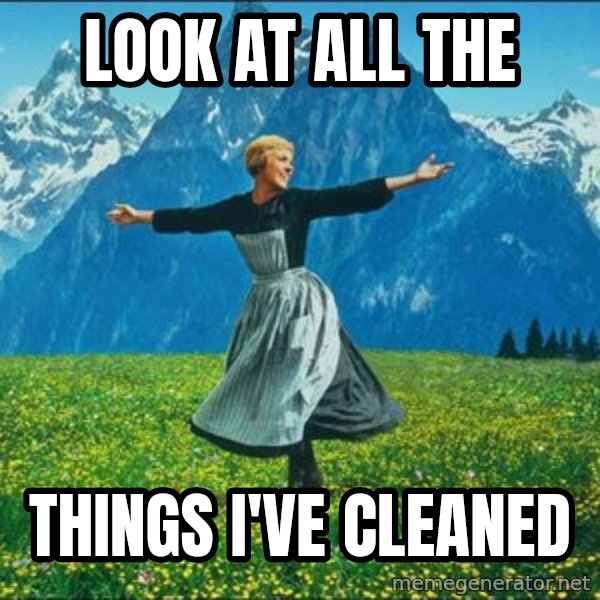 Look at all the things meme: Look at all the / things I've cleaned