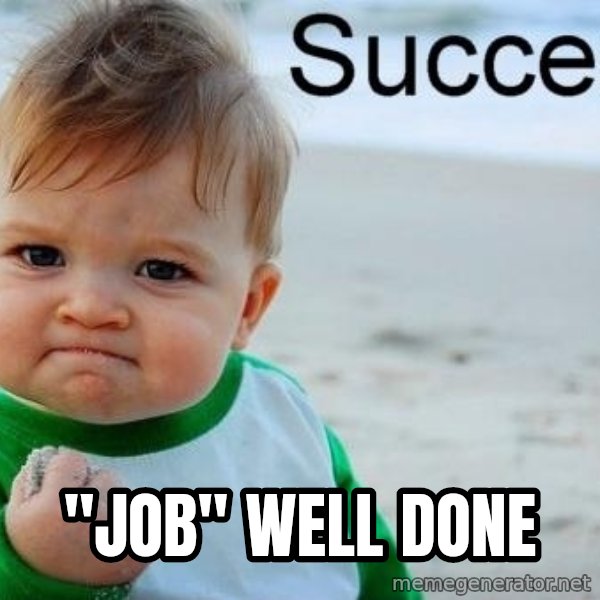 Success Kid meme: "Job" well done