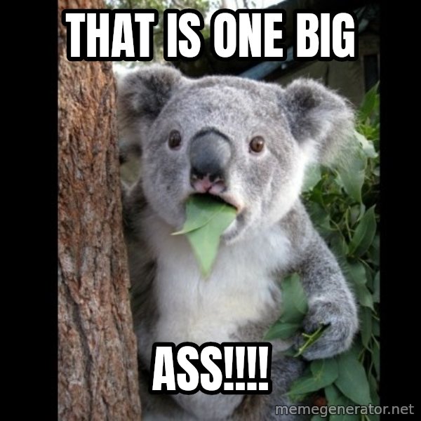 Koala can't believe it meme: that is one big / ass!!!!