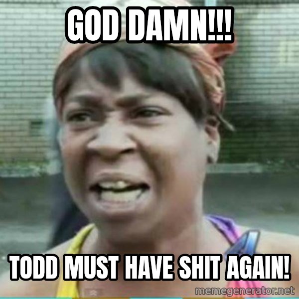 Sweet Brown Meme meme: God damn!!! / Todd must have shit again!