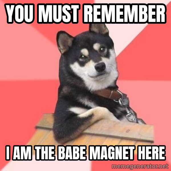 Cool Dog meme: You must remember / I am the babe magnet here