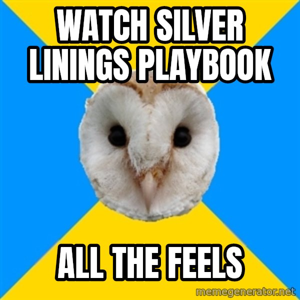 Bipolar Owl meme: watch silver linings playbook / ALL THE FEELS
