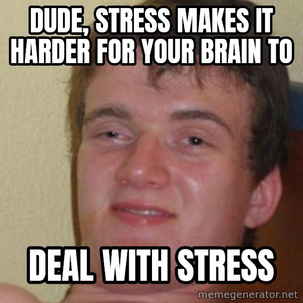 really high guy meme: Dude, stress makes it harder for your brain to / deal with stress