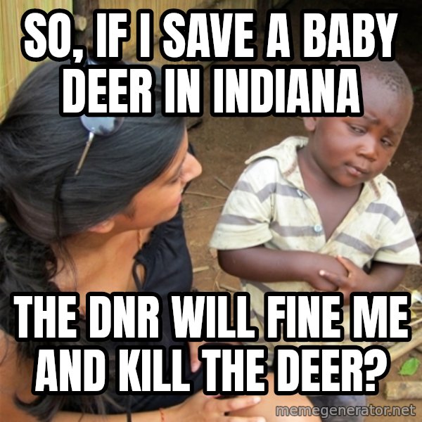 So You're Telling me meme: So, if I save a baby deer in Indiana / The DNR will Fine me and Kill the deer?