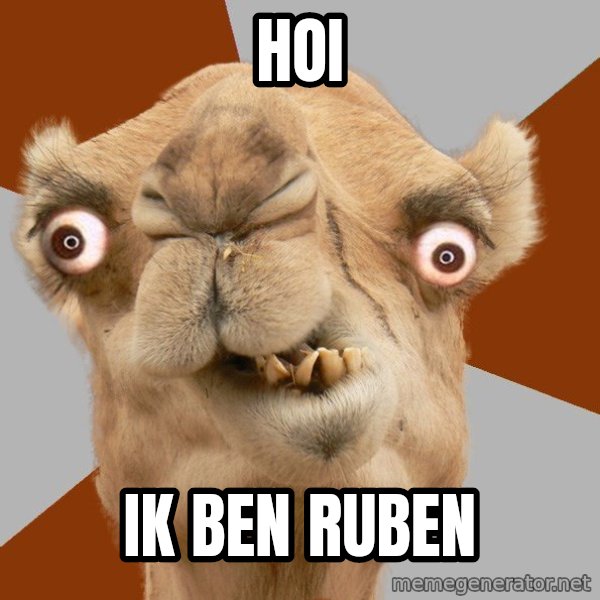 Crazy Camel lol meme: HOI / IK BEN RUBEN