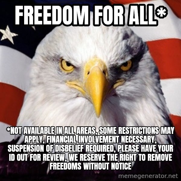 American Pride Eagle meme: freedom for all* / *not available in all areas, some restrictions may apply, financial involvement necessary, suspension of disbelief required, please have your id out for review, we reserve the right to remove freedoms without notice