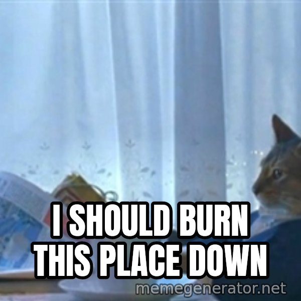 Sophisticated Cat meme: I should burn this place down
