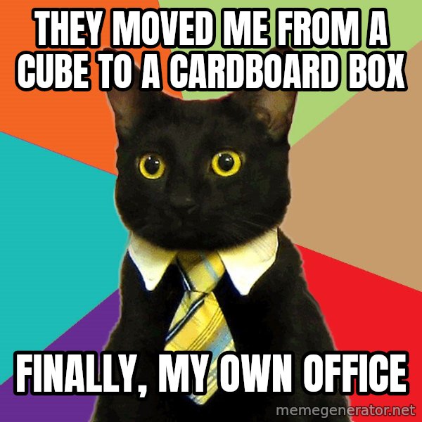 Business Cat meme: They moved me from a cube to a cardboard box / finally, my own office