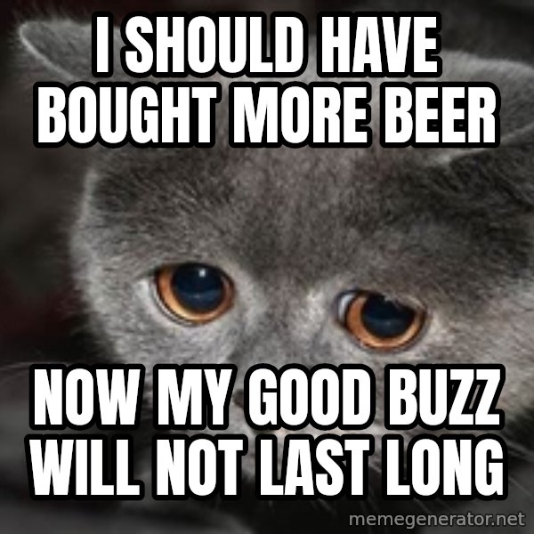 Sadcat meme: I should have bought MORE BEER / Now my good buzz will not last long