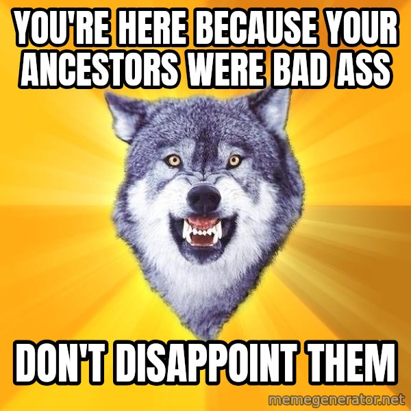 Courage Wolf meme: You're here because your ancestors were bad ass / don't DISAPPOINT them