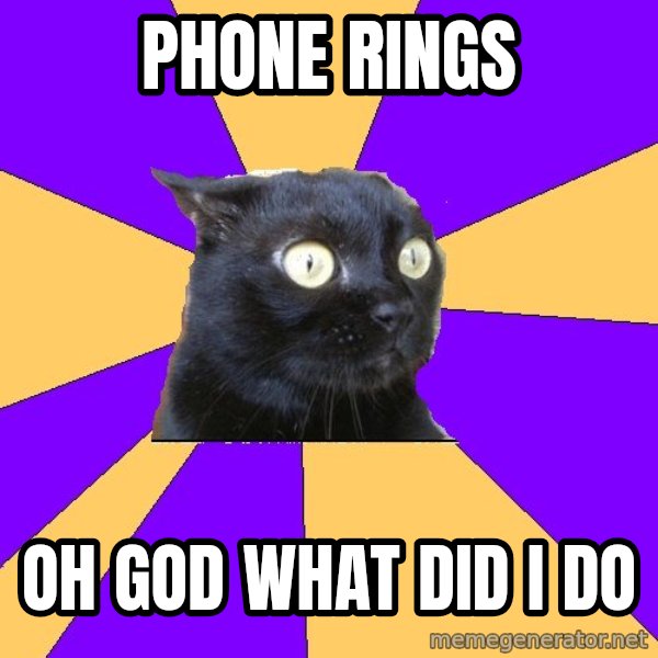 Anxiety Cat meme: PHONE RINGS / OH GOD WHAT DID I DO