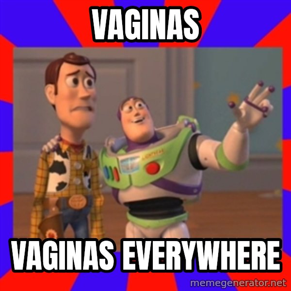 X, X Everywhere  meme: vaginas / vaginas everywhere