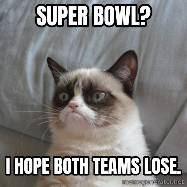 Grumpy cat good meme: Super bowl? / I hope both teams lose.