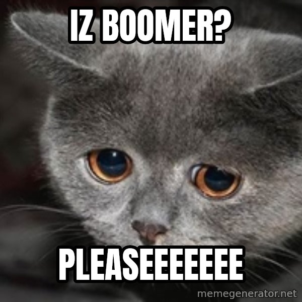 Sadcat meme: iz boomer? / Pleaseeeeeee
