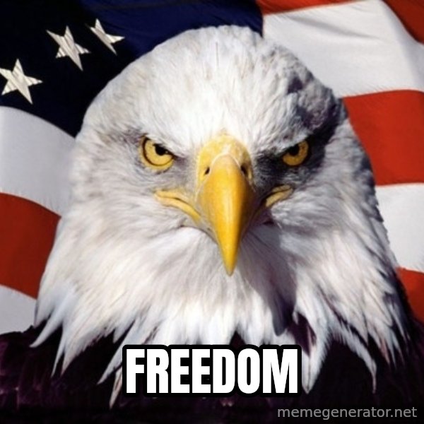 American Pride Eagle meme: Freedom